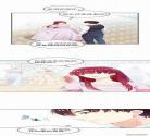 恶女会改变漫画无广告